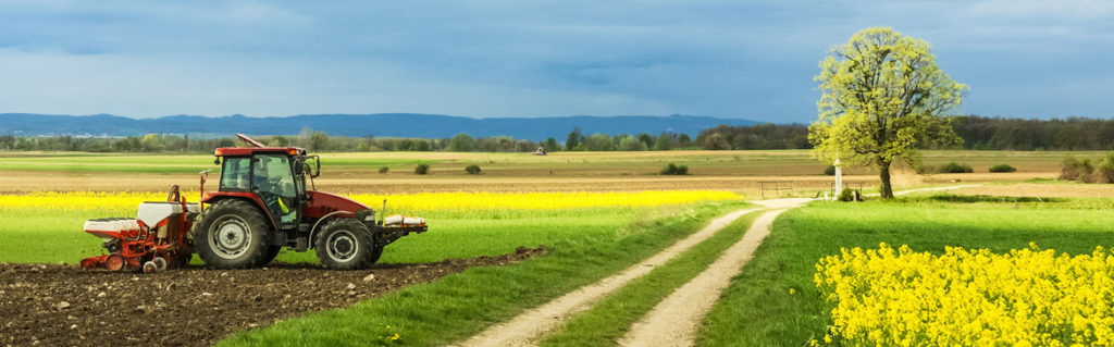 trading-cereali-serenamanente3